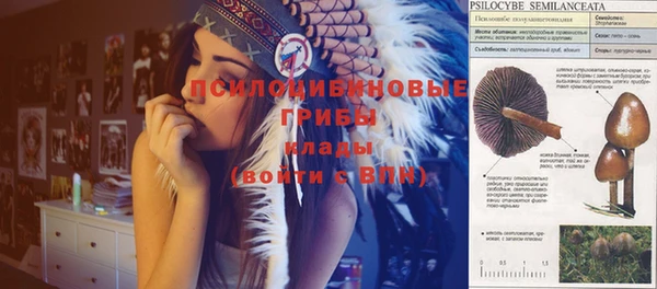 первитин Карпинск