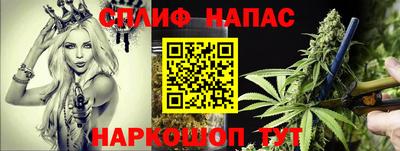 прущие грибы Набережные Челны