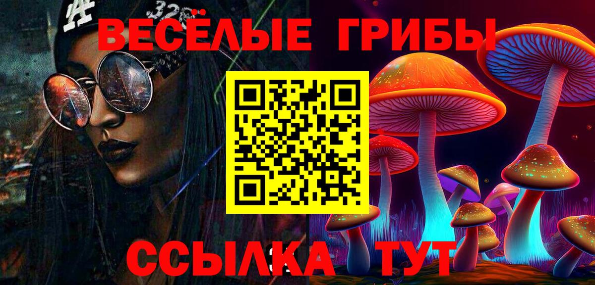 Галлюциногенные грибы GOLDEN TEACHER  Вход с VPN  Тында 